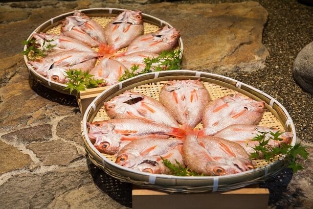 博多で送別会ならお任せください！対馬のどぐろ「紅瞳」とイカ活き造りを味わう特別な時間